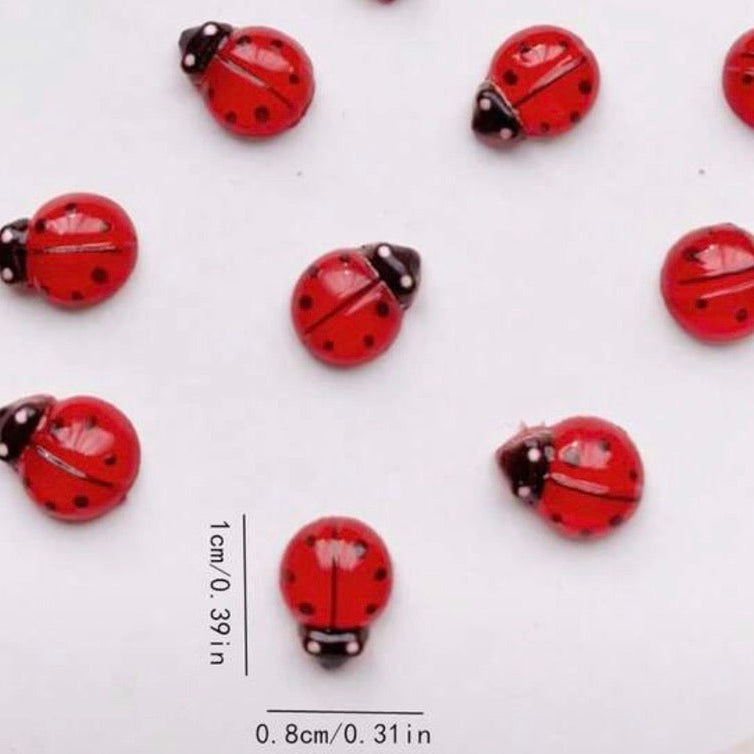 Ladybug Charms