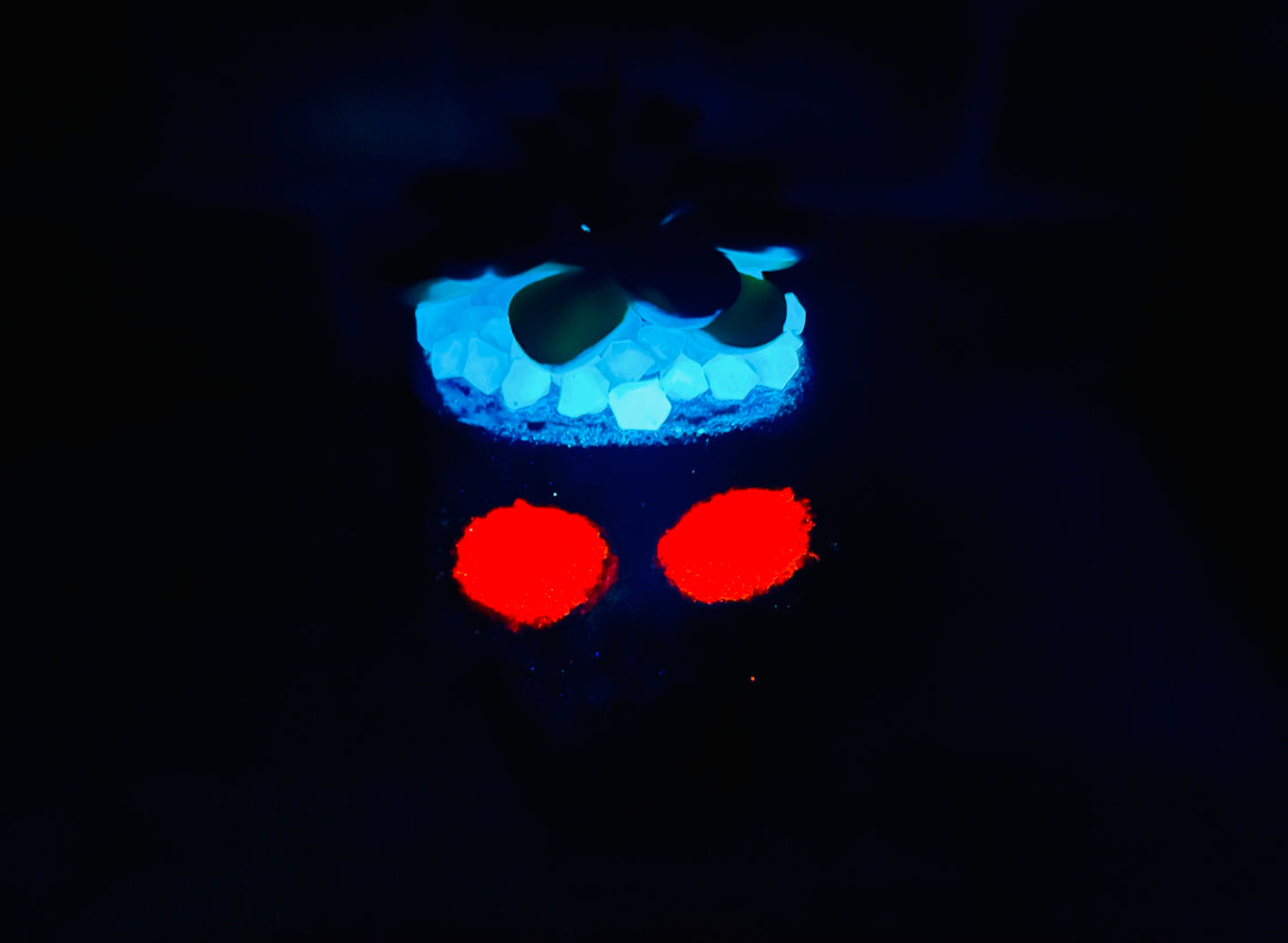 Glow in the dark Skull Artificial Succulents