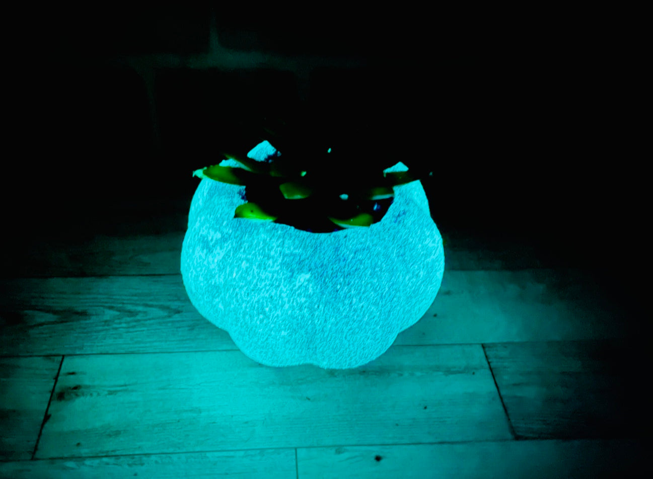 Artificial Pumpkin Succulent