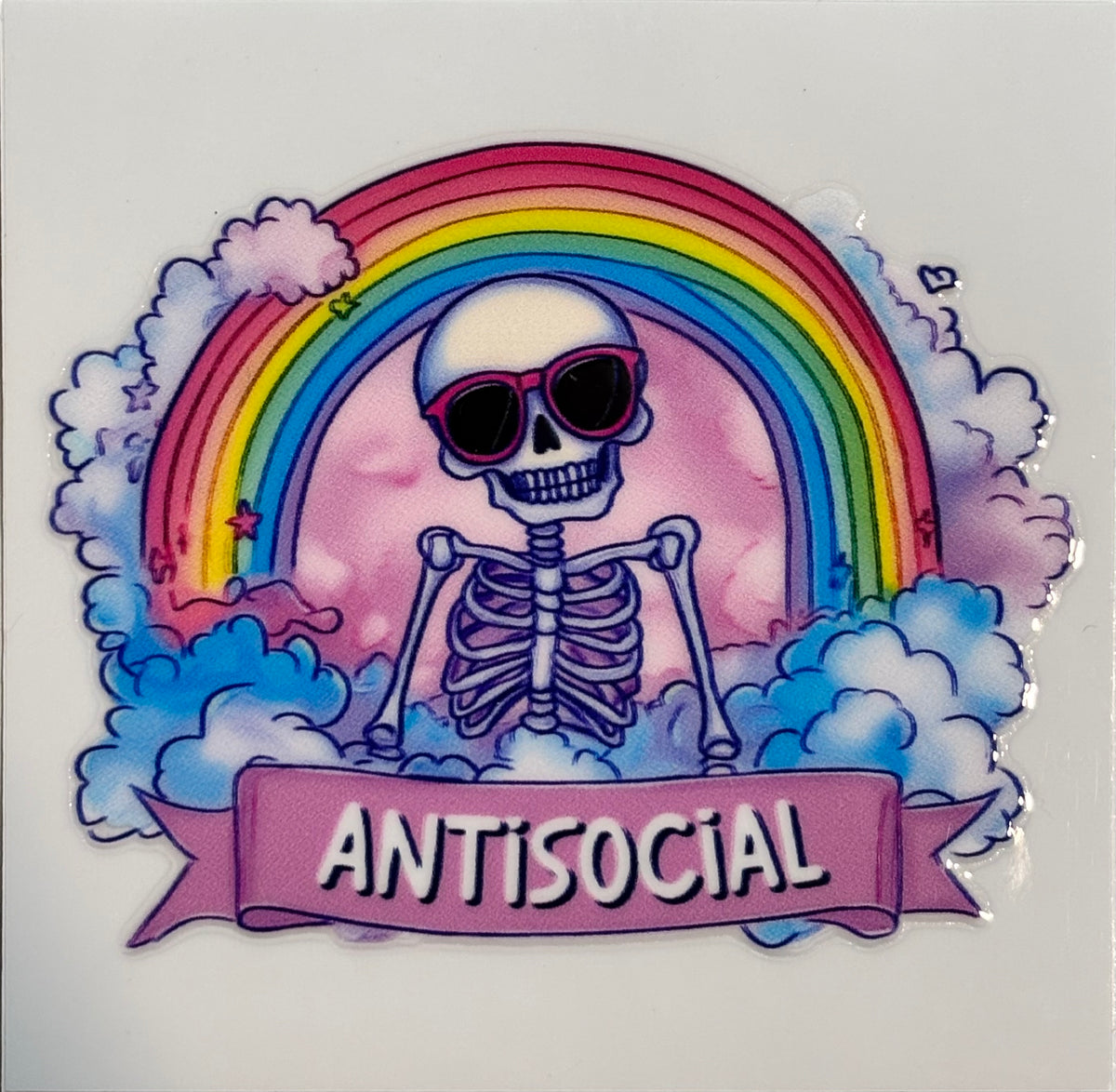 Skull/Skeleton Decal #11