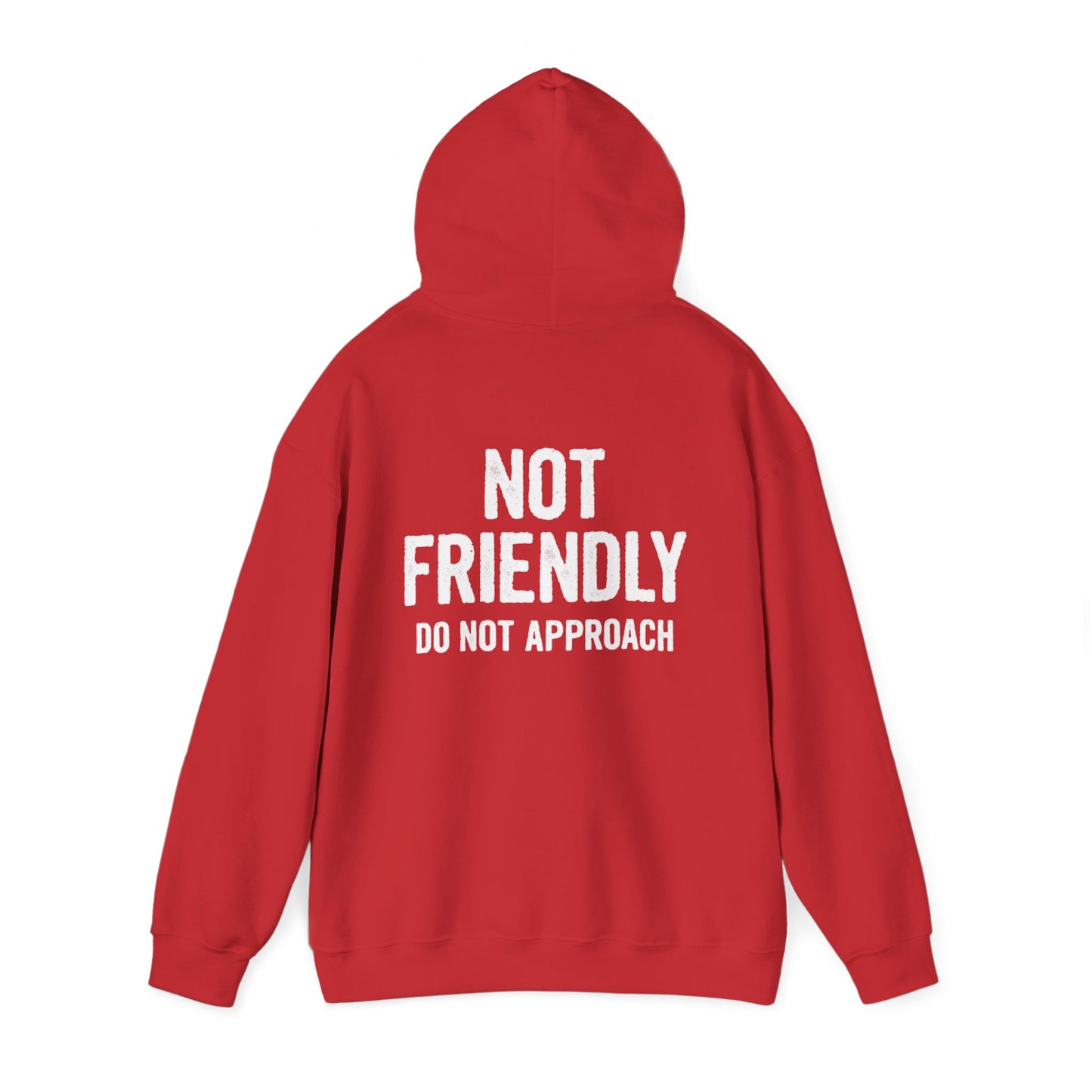 Not Friendly Hoodie — "Not Friendly Do Not Approach" Graphic Hoodie