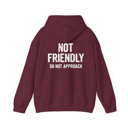 Not Friendly Hoodie — "Not Friendly Do Not Approach" Graphic Hoodie
