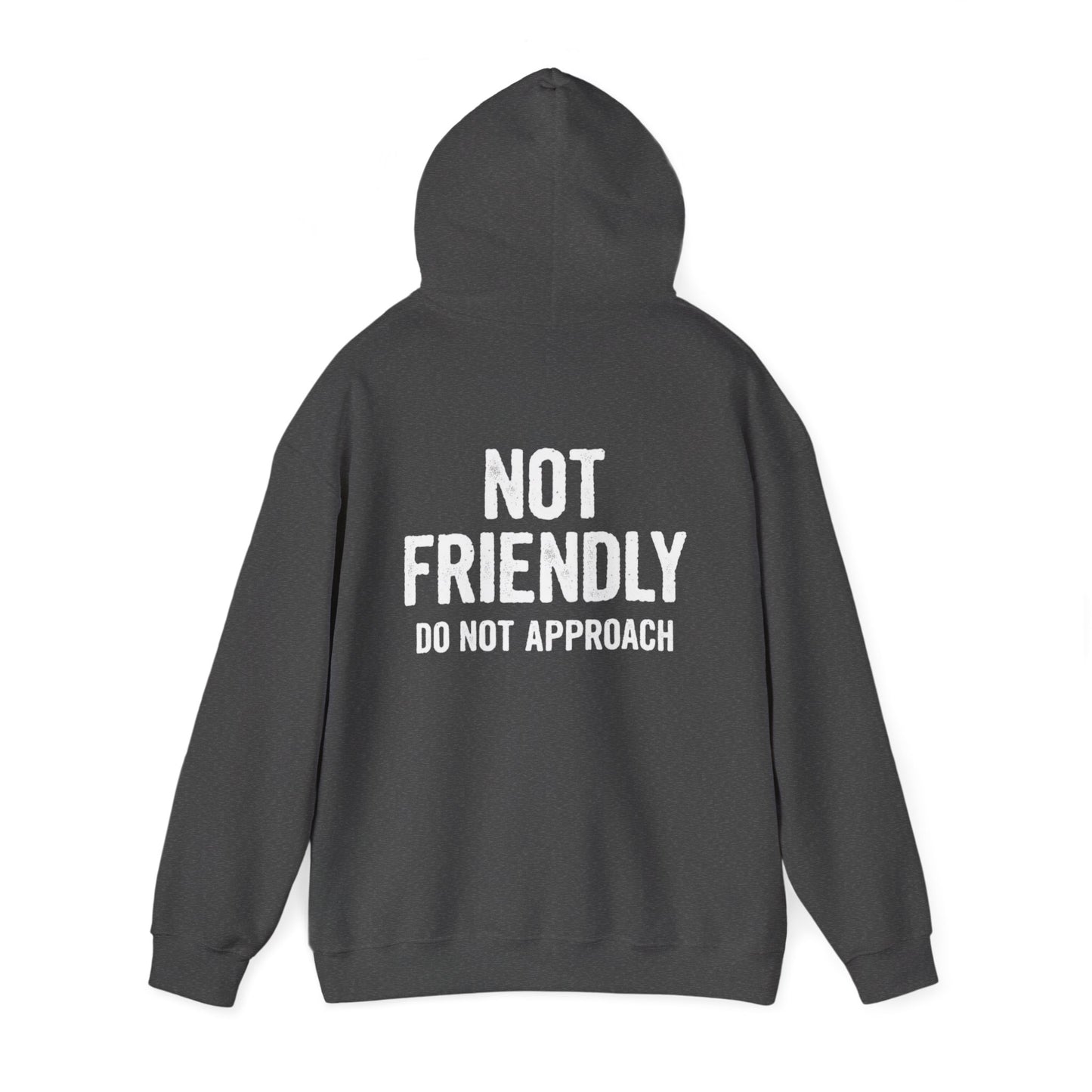 Not Friendly Hoodie — "Not Friendly Do Not Approach" Graphic Hoodie
