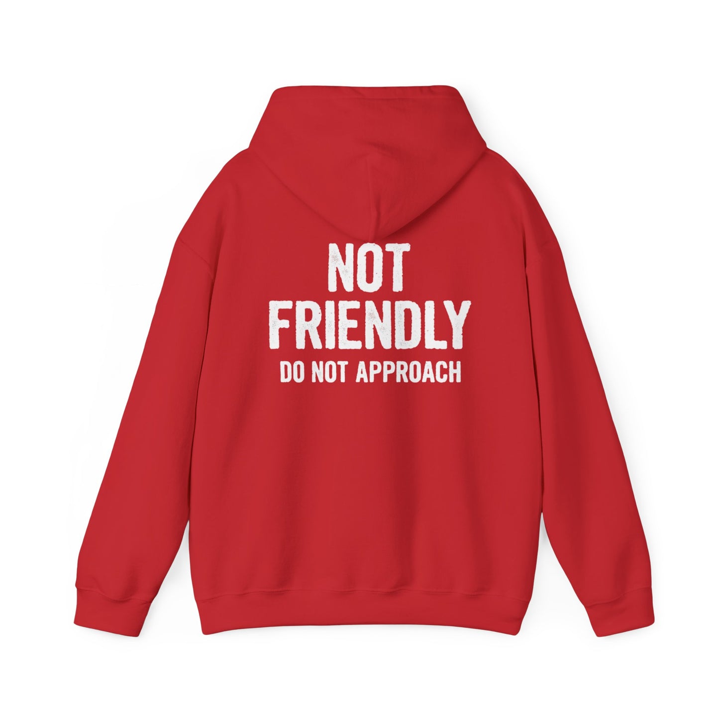Not Friendly Hoodie — "Not Friendly Do Not Approach" Graphic Hoodie