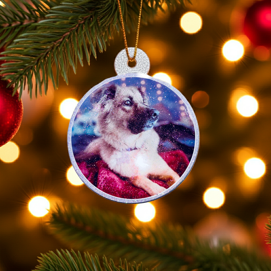 Custom Pet Photo Ornament