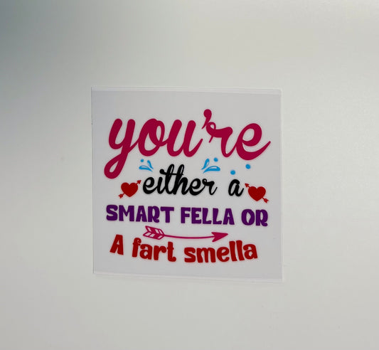 #172 - Smart Fella